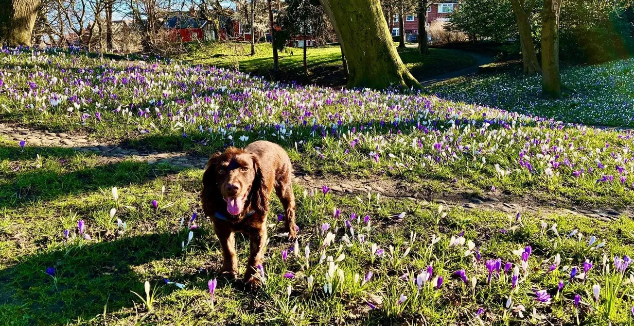 Punk rock and Paradise